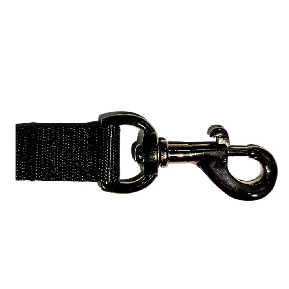 Glucklich Dog Leash  Nylon