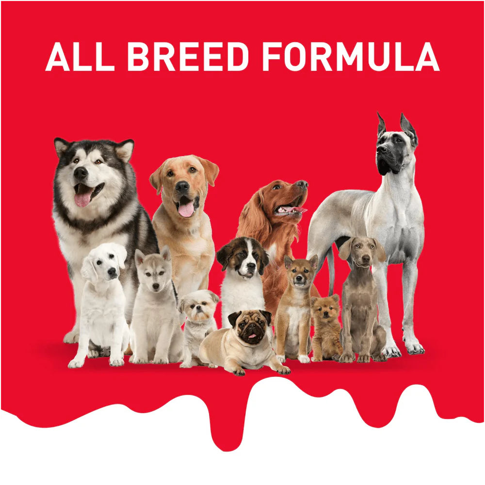 Drools Absolute Milk Bone Jar Treats