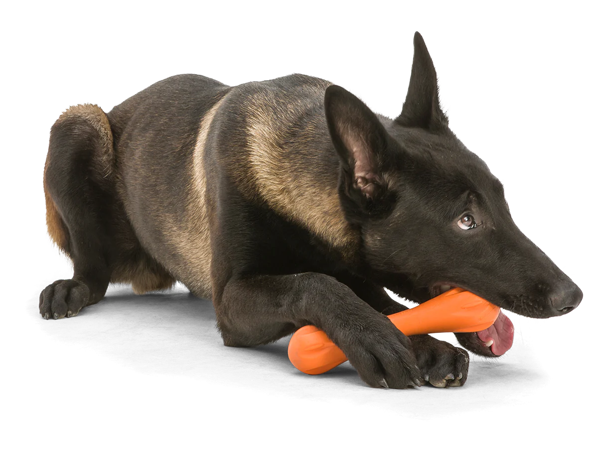 West Paw Zogoflex Hurley Dog Bone Toy