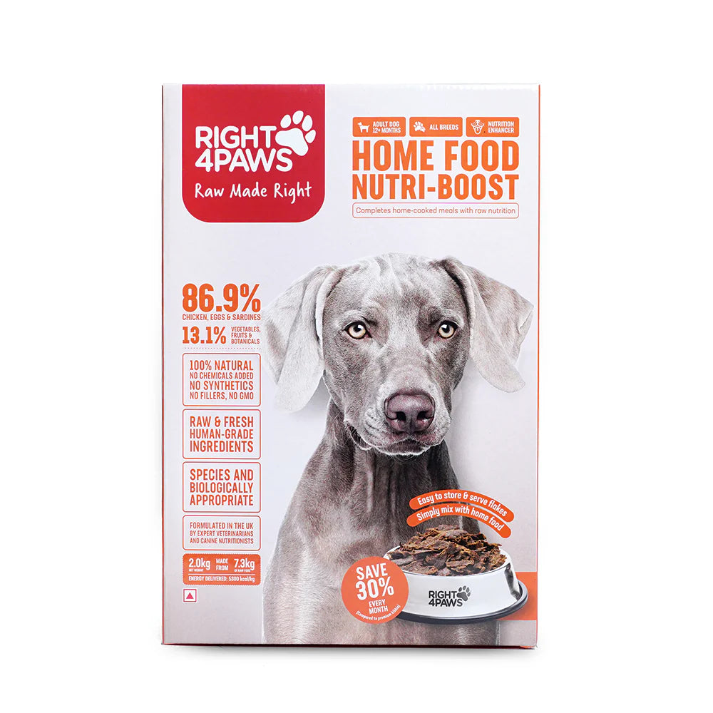 Right 4 Paws Boost Up Supplement for Dogs