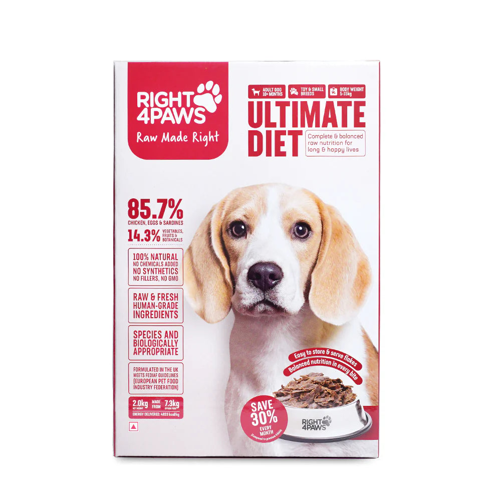 Right 4 Paws Ultimate Diet Toy & Small Adult Dog Dry Food