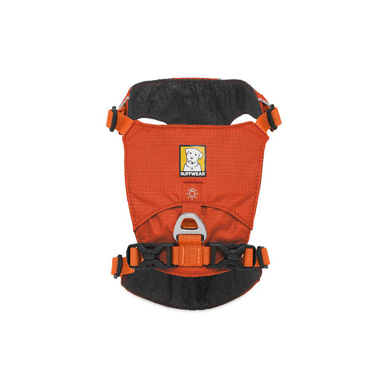 Ruffwear Hi & Light Harness for Dogs
