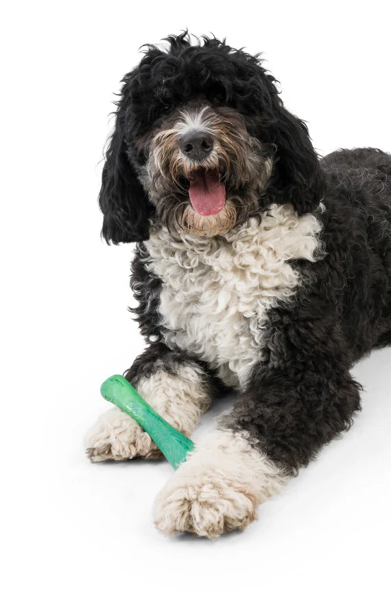 West Paw Zogoflex Drifty Dog Toy