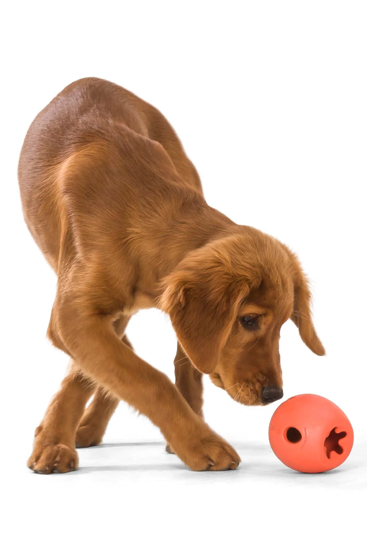 West Paw Rumbl Dog Chew Toy