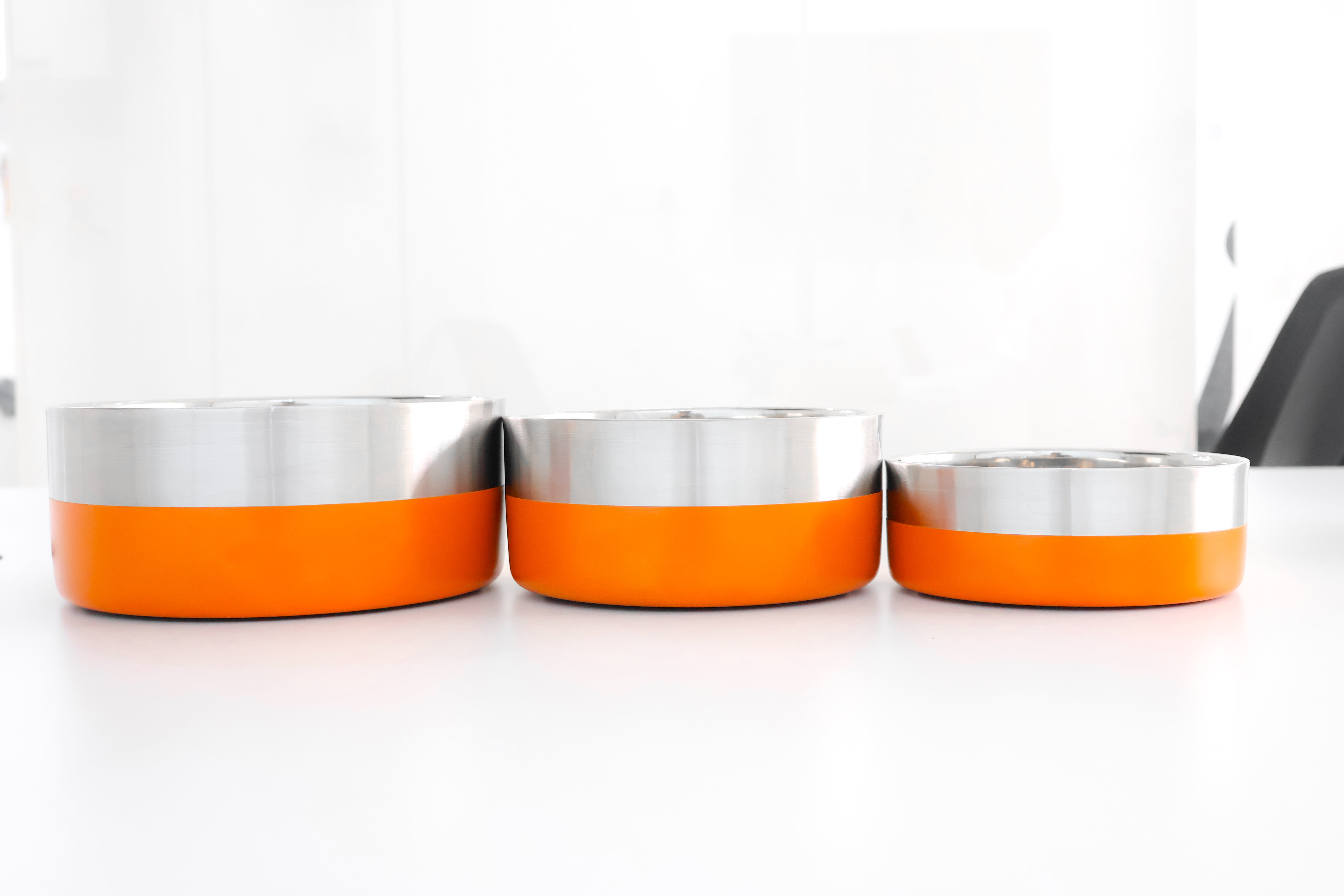 Story Tails Double Wall Dog Bowl Color & Anti Skid  Base