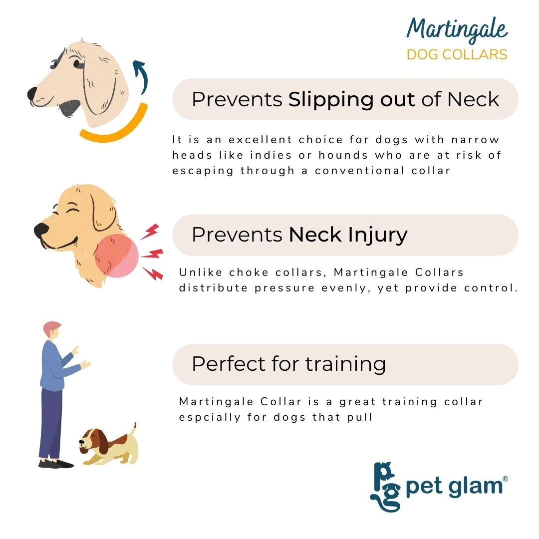 Petgalm Martingale Collar Chief for Dogs