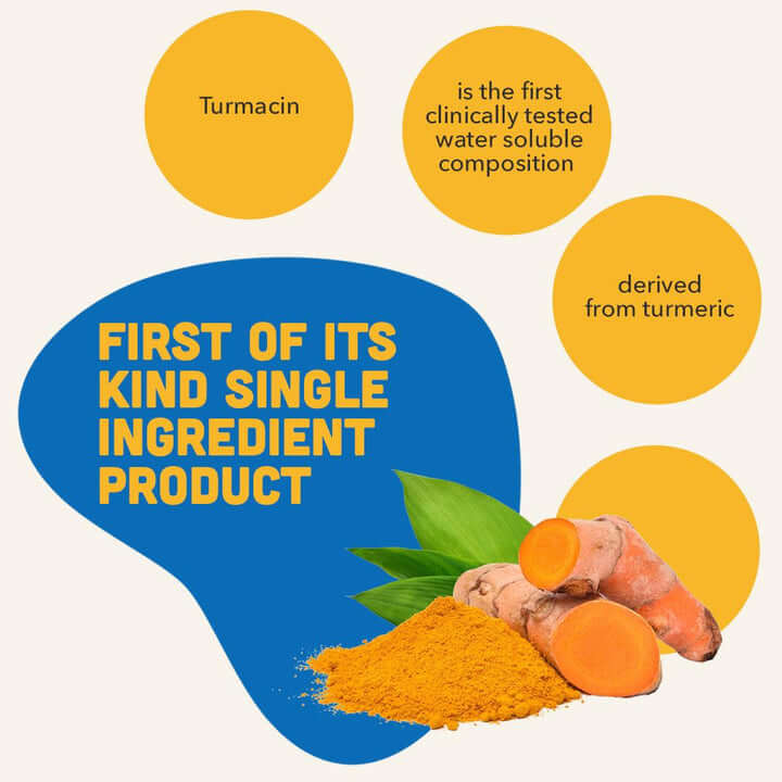 Naturals Orthoron Tablet Pet Joint Supplements Tablets for Dogs & Cats