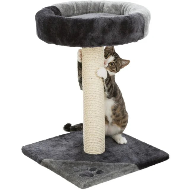 Trixie Tarifa Scratching Post for Junior Cats
