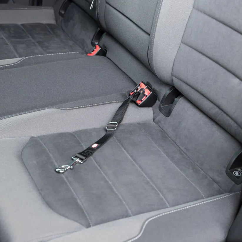 Trixie Car Harnesss for Dogs