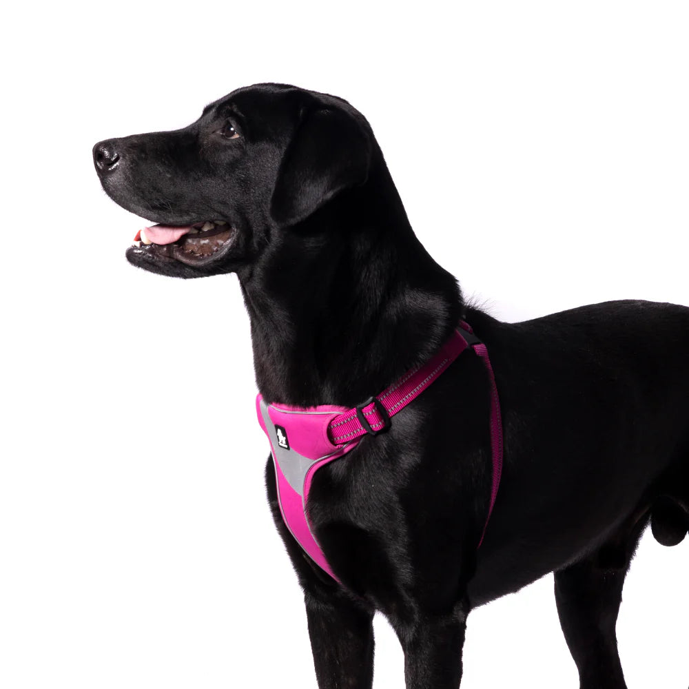 Truelove Step in Harness for Dogs