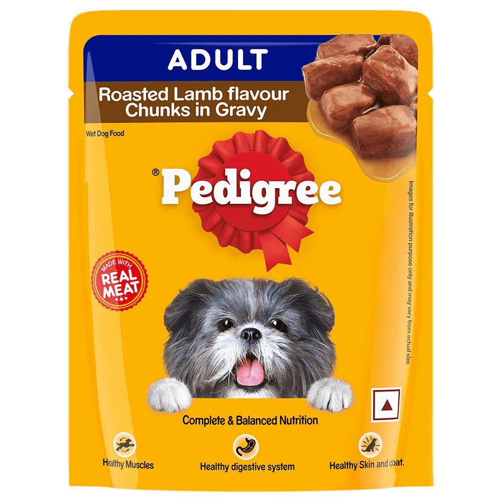 Pedigree Roasted Lamb Flavor Chunks in gravy Adult Dog Wet Food