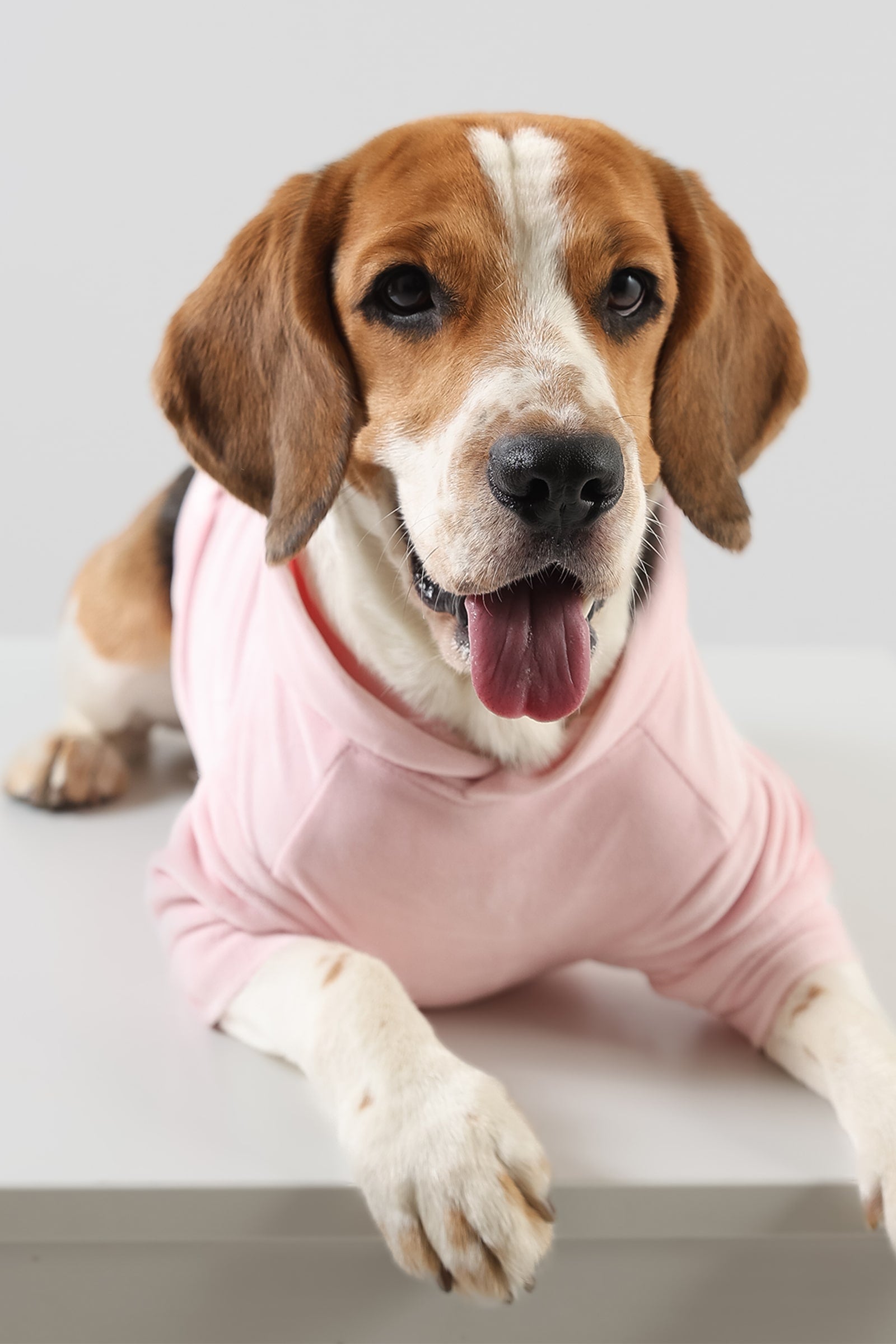 Lemon Tails Style Super Soft Dog Hoodies