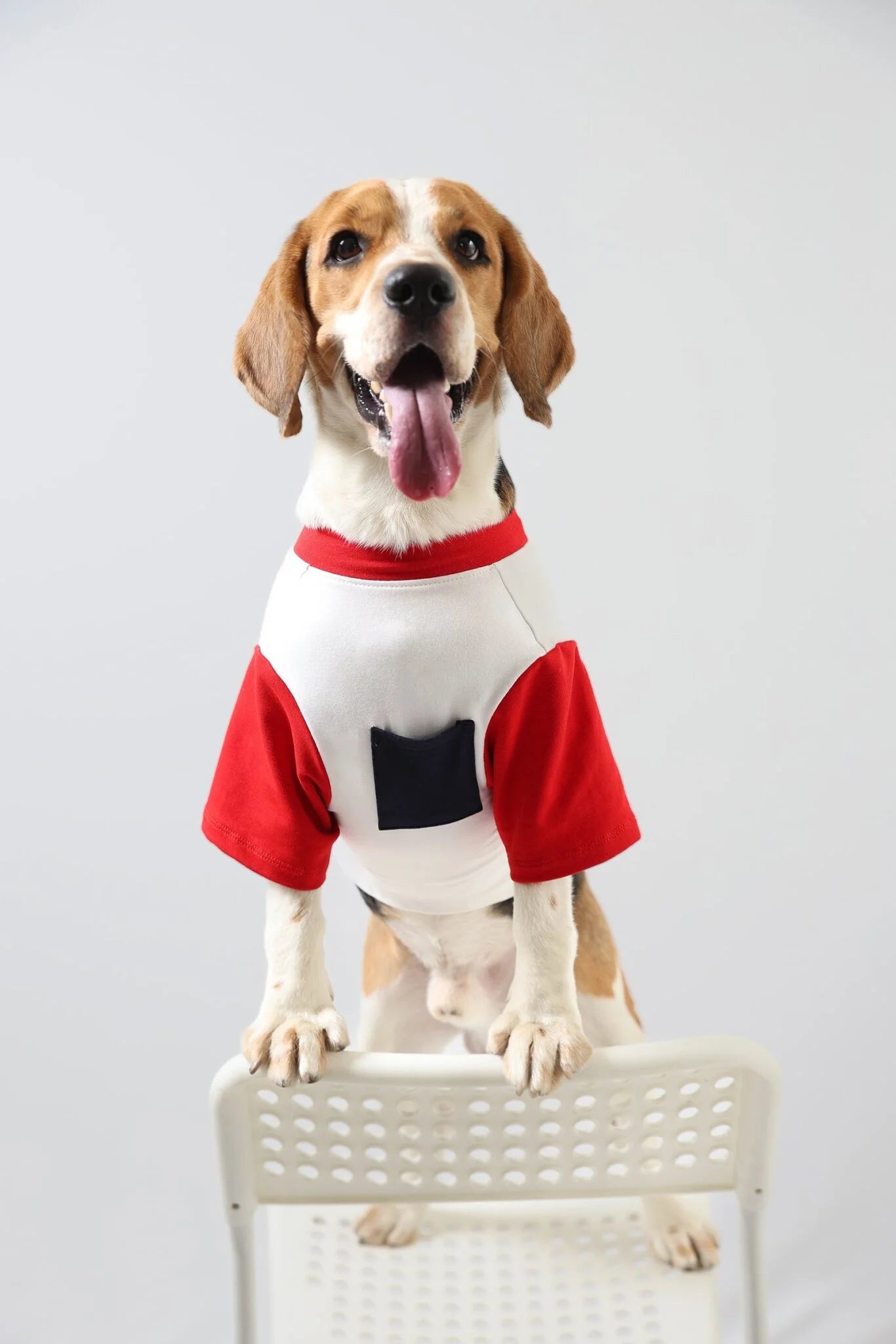 Lemon Tails Pocket Biscuit Dog T-shirt
