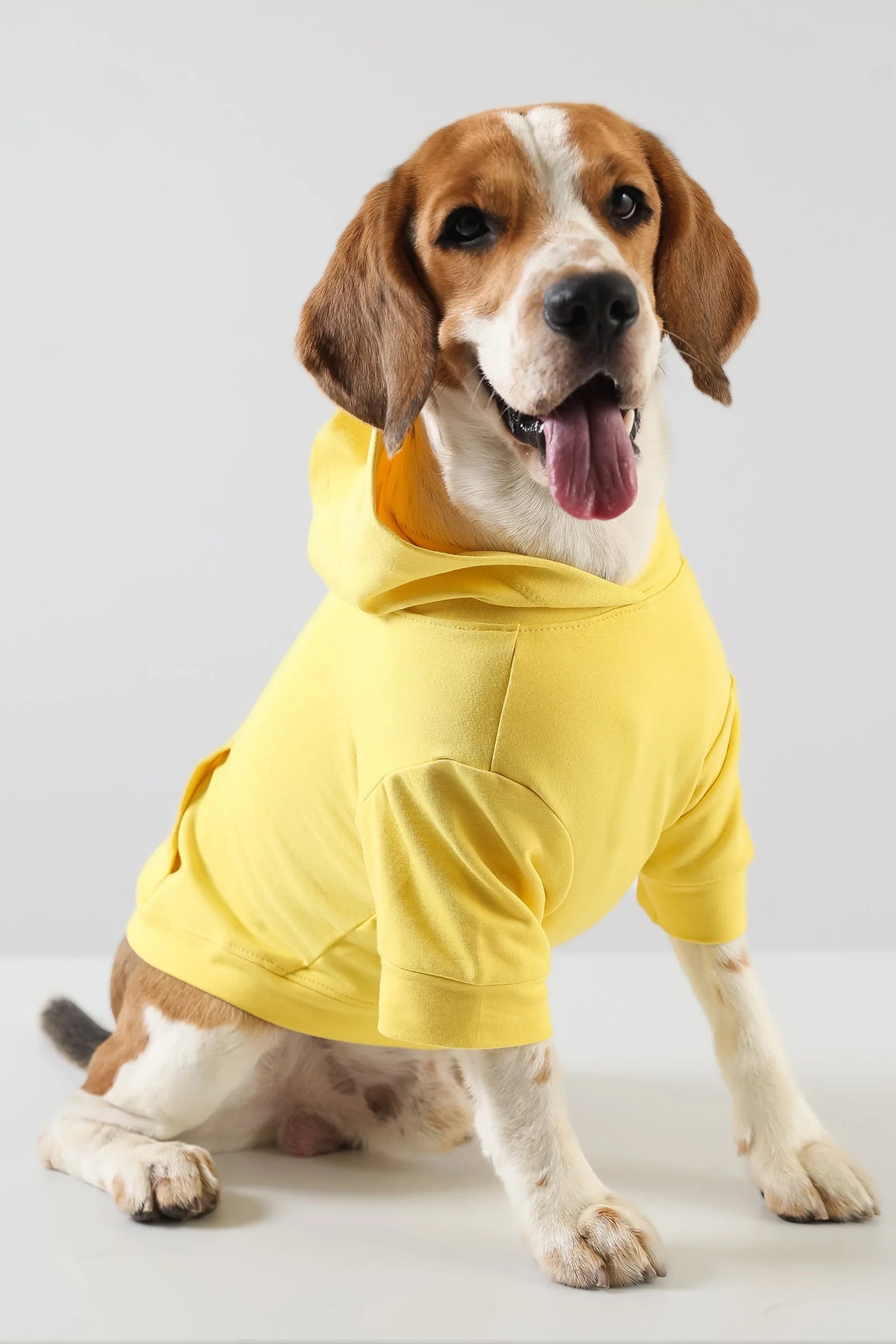 Lemon Tails Style All Weather Solid Dog Hoodies