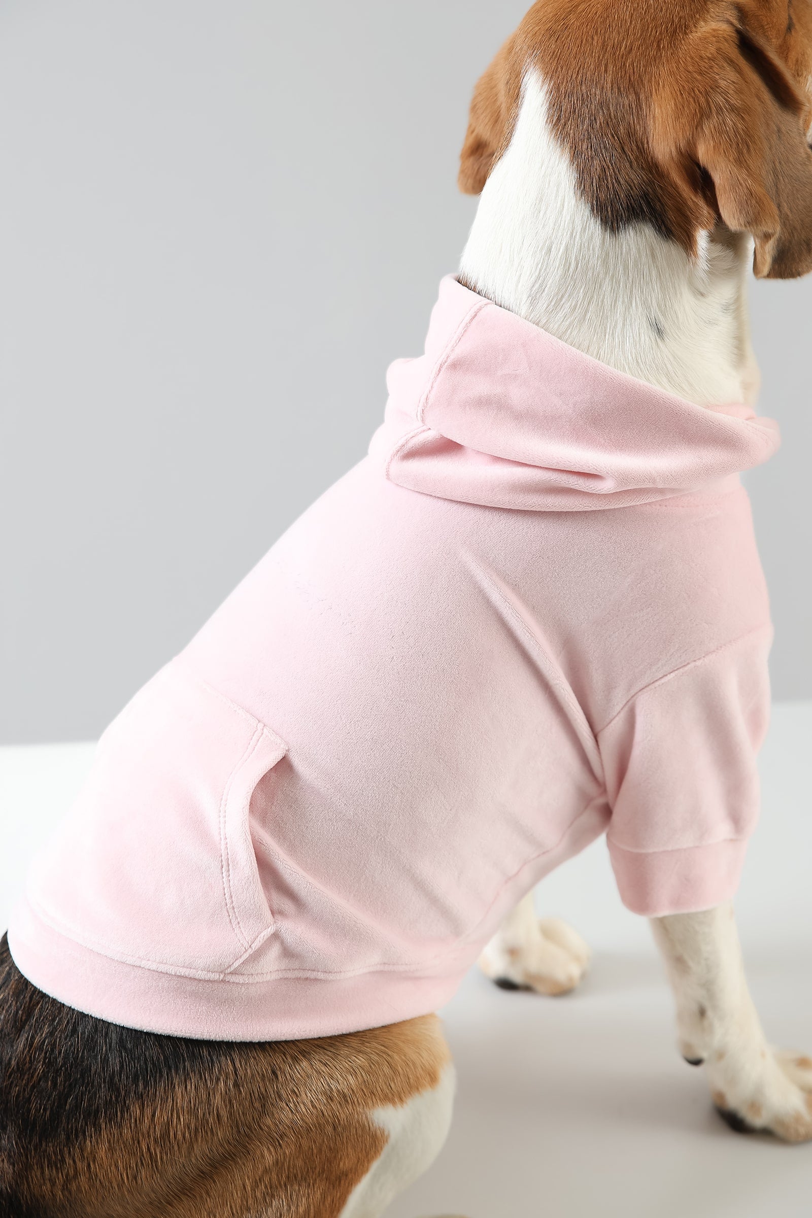 Lemon Tails Style Super Soft Dog Hoodies