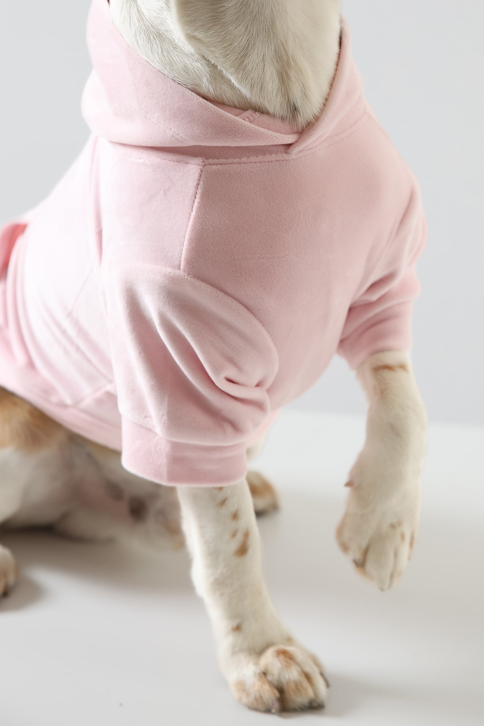 Lemon Tails Style Super Soft Dog Hoodies