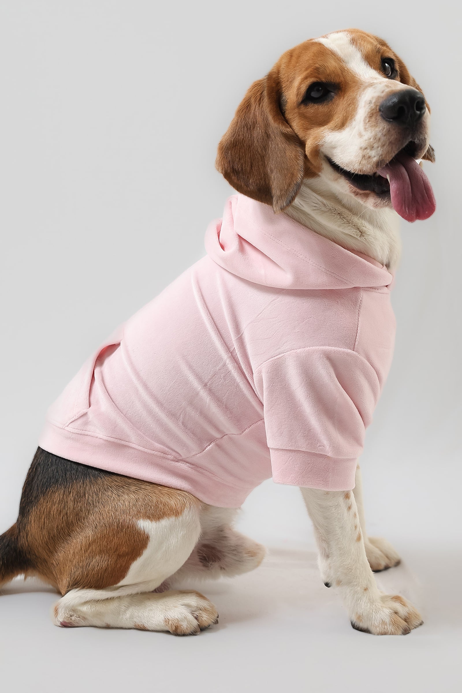 Lemon Tails Style Super Soft Dog Hoodies