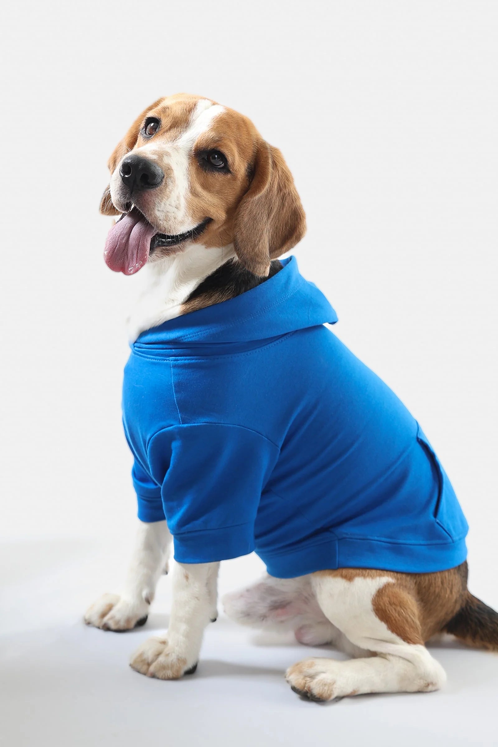Lemon Tails Style All Weather Solid Dog Hoodies