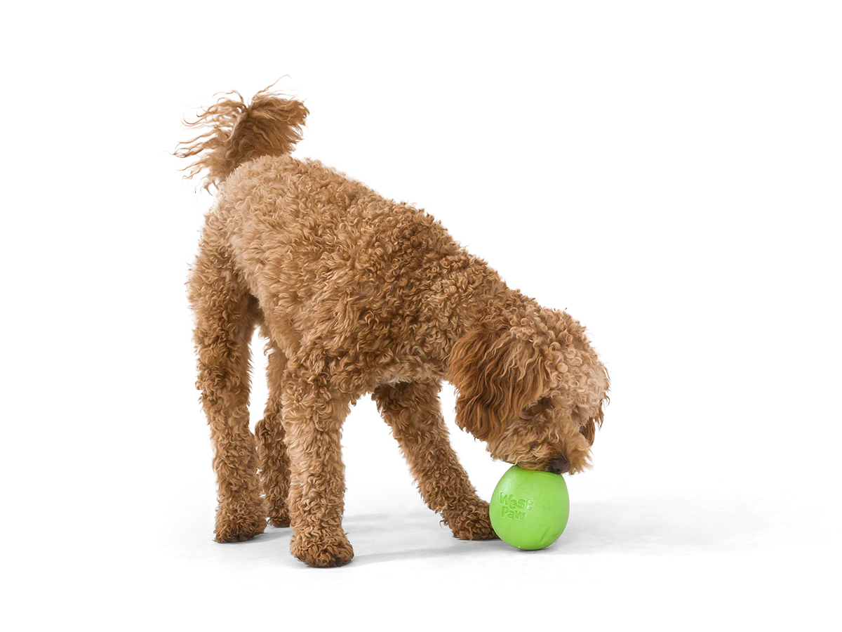 West Paw Rumbl Dog Chew Toy