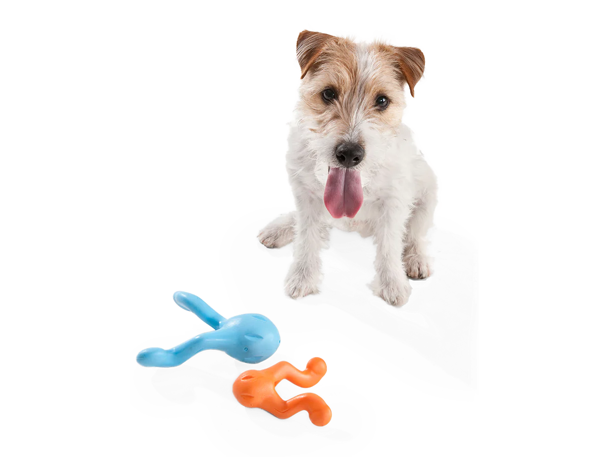 West Paw Zogoflex Tizzi Dog Toys