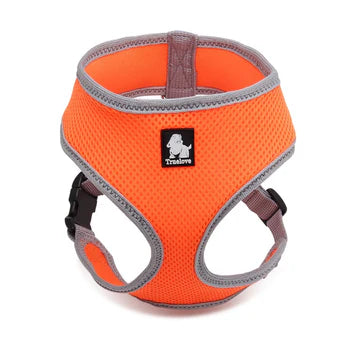 True Love Cat & Small Dog Harness