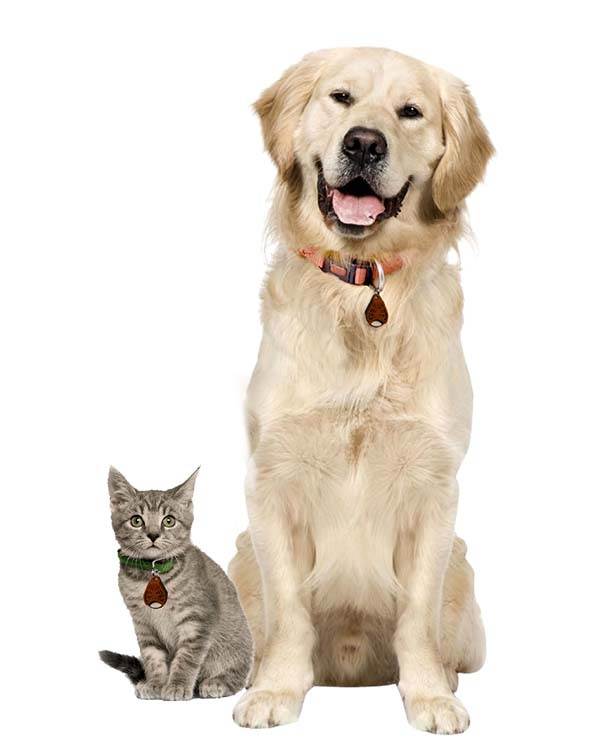 Tickles Ultrasonic Tick and Flea Repeller