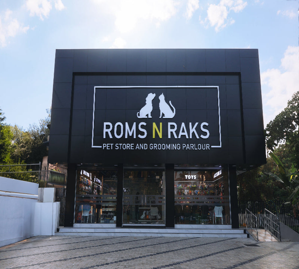 Thrippunithura, Ernakulam