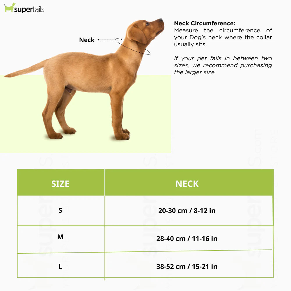 Trixie Cooling Bandana for Dogs