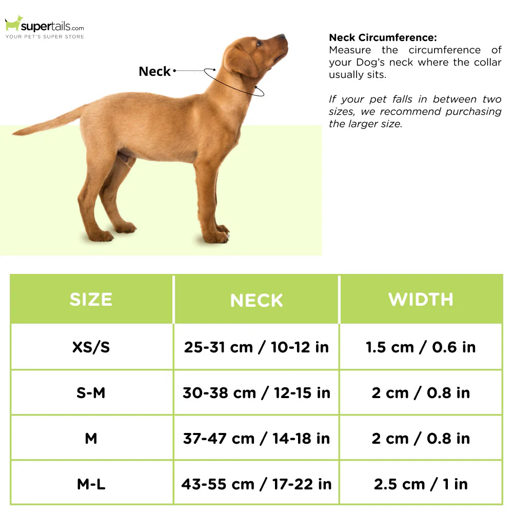 Trixie Collar with Neckerchief for Dogs