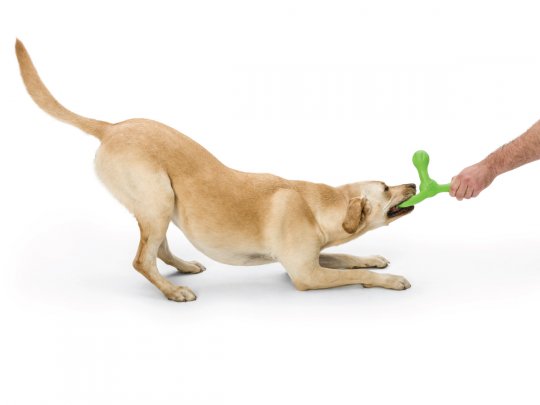 West Paw Zogoflex Echo Skamp Fetch Standard Dog Toys