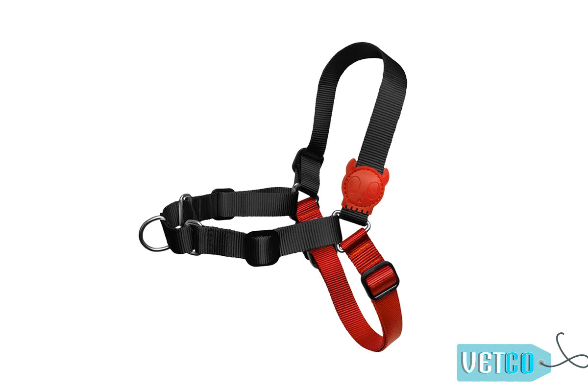 Zee Dog Fatboy Soft Walk Dog Harness
