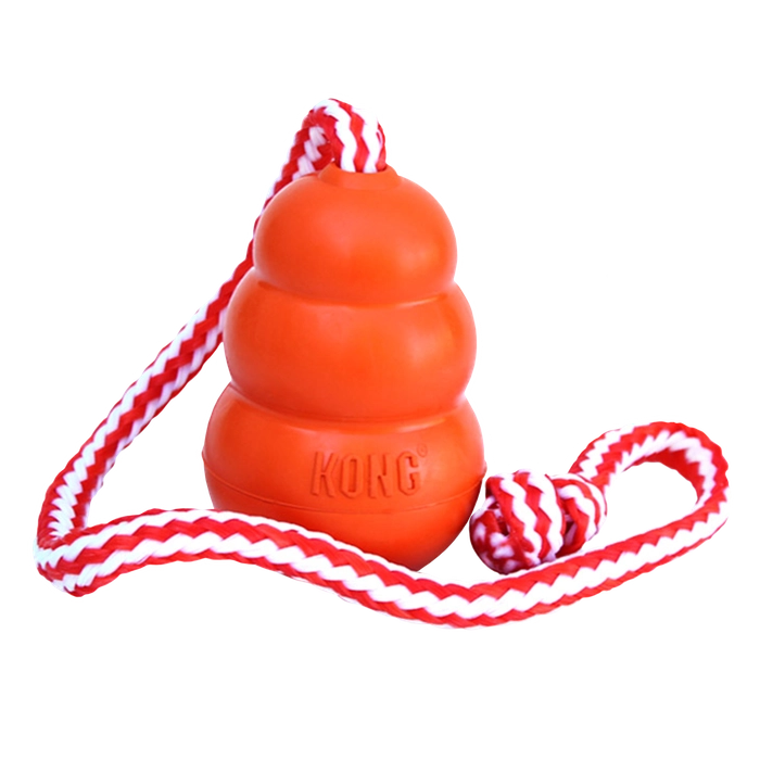 Kong Aqua Natural Rubber Toy