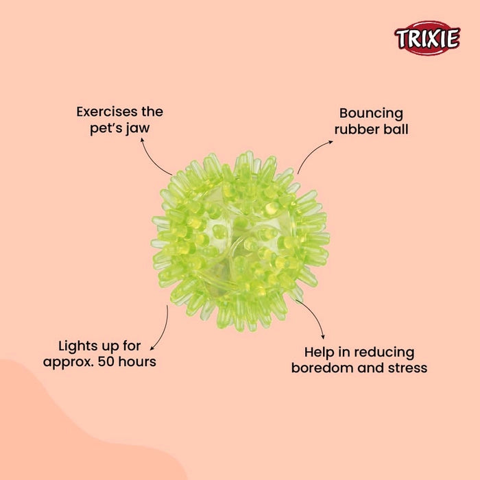 Trixie Flashing hedgehog ball soundless floatable TPR