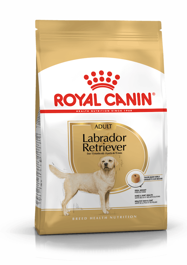 Royal Canin Labrador Adult Dog Dry Food