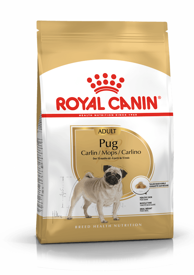 Royal Canin Pug Adult Dog Dry Food