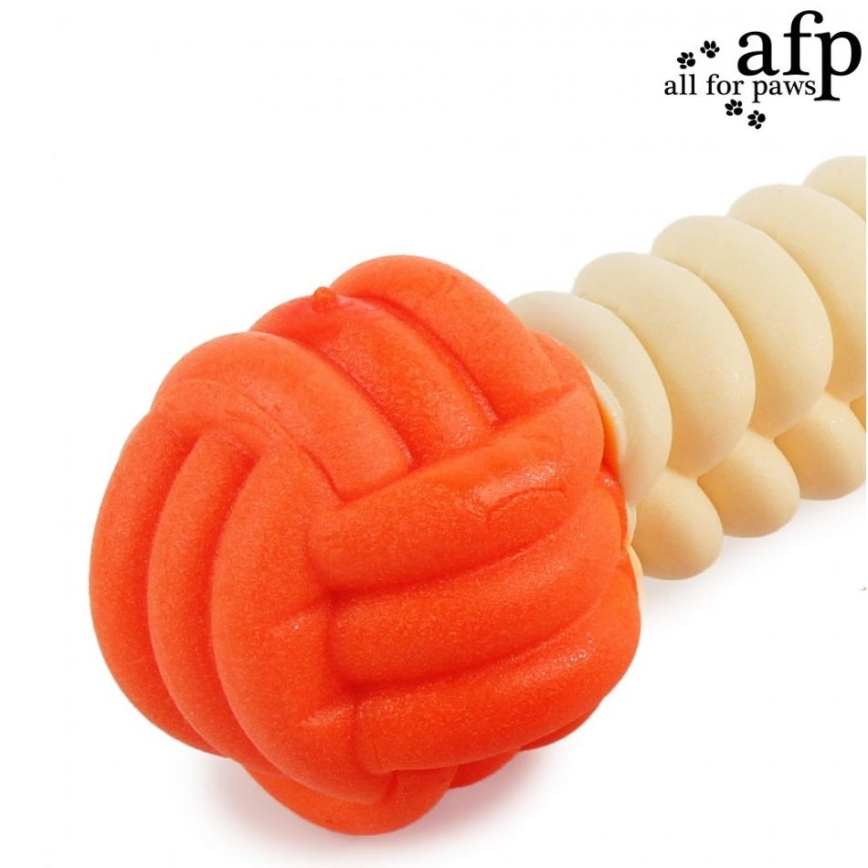 afp Creaky Sound Chew Bone for Dogs