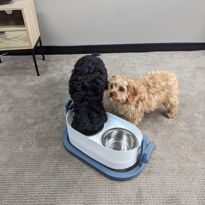 afp 3-in-1 Elevated Food Bowl for Cats