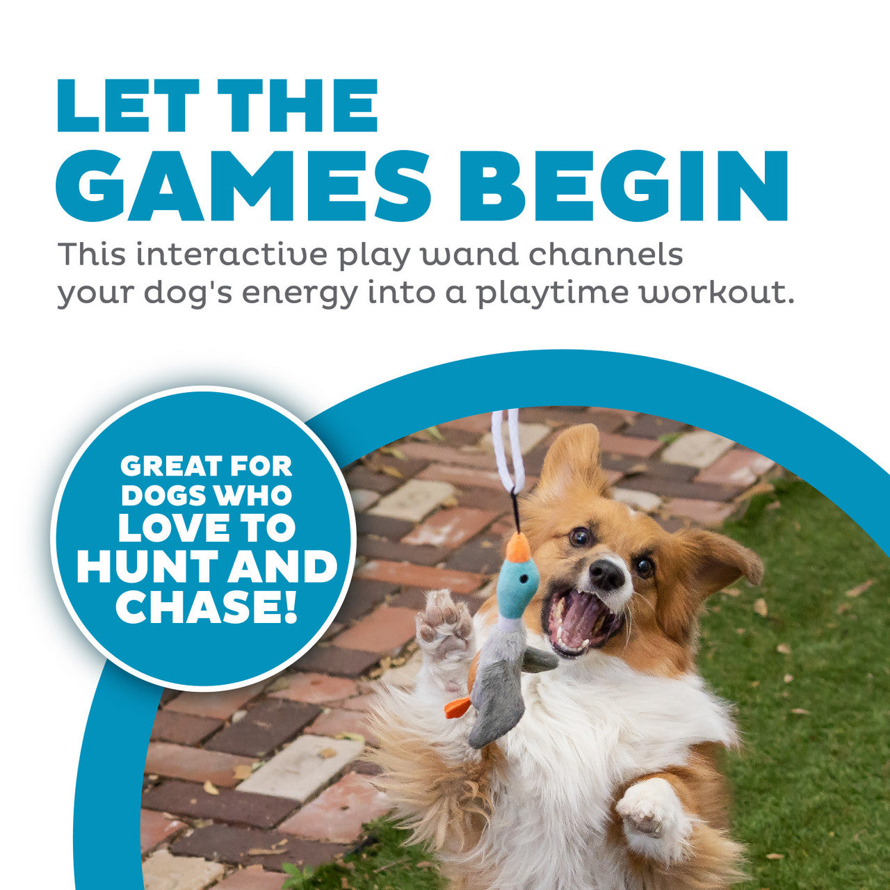 Outward Hound Tail Teaser with Refill Interactive Dog Toy