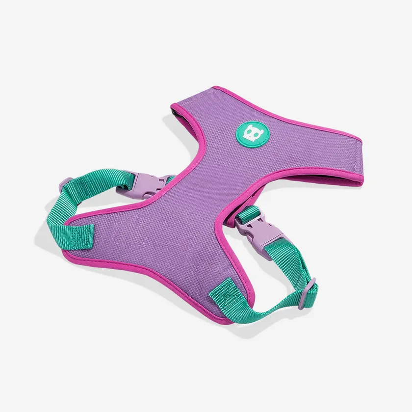 Zee Dog Aura Adjustable Air Mesh Harness for Dogs