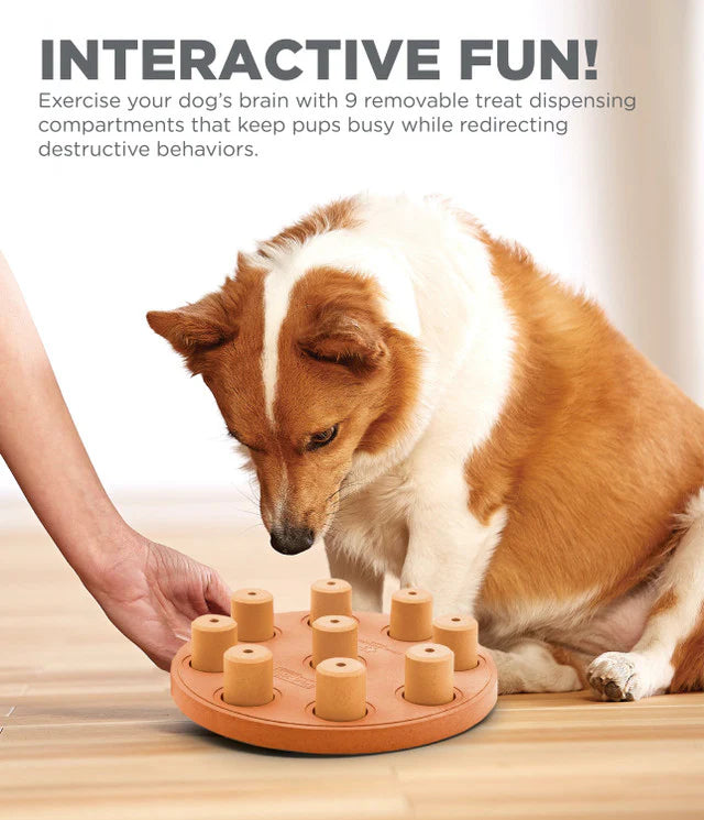 Outward Hound Dog Smart Composite Interactive Treats Game