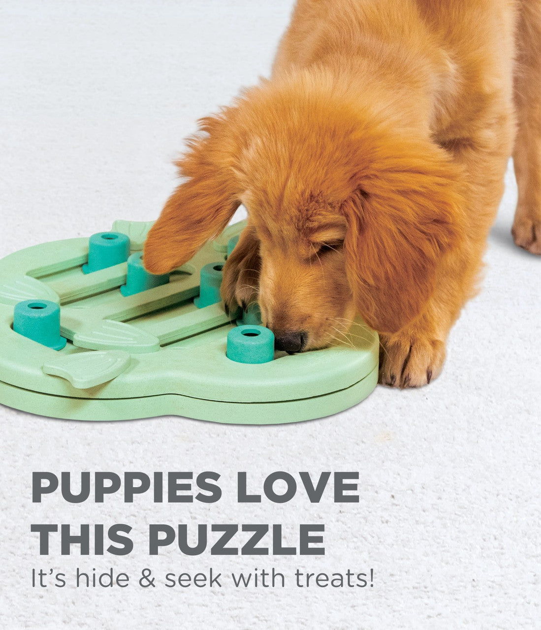 Outward Hound Puppy Hide N Slide Interactive Treat