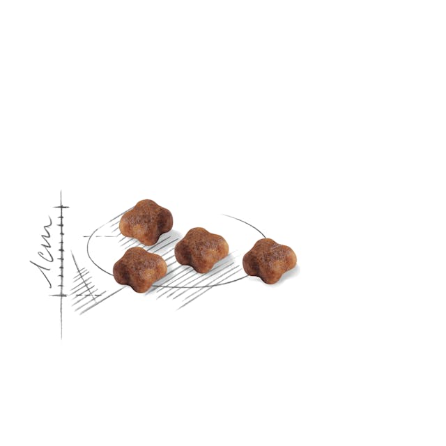 Royal Canin Mother and Baby Cat Dry Food