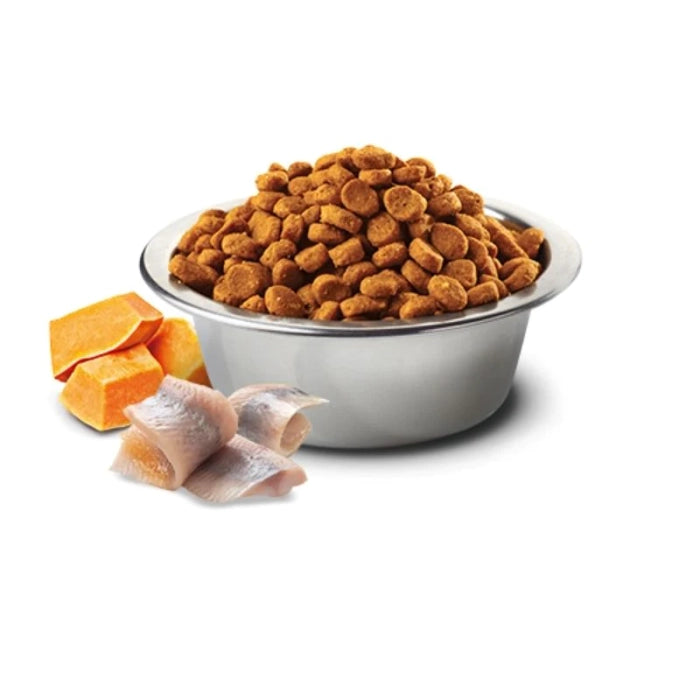 N&D Ocean Cd Pumpkin and Cantaloupe Melon Medium & Maxi Puppy Dry Food