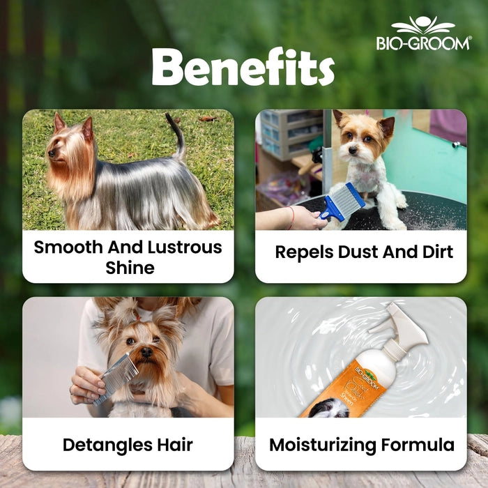 Bio Groom Coat Polish Spray On Glosser