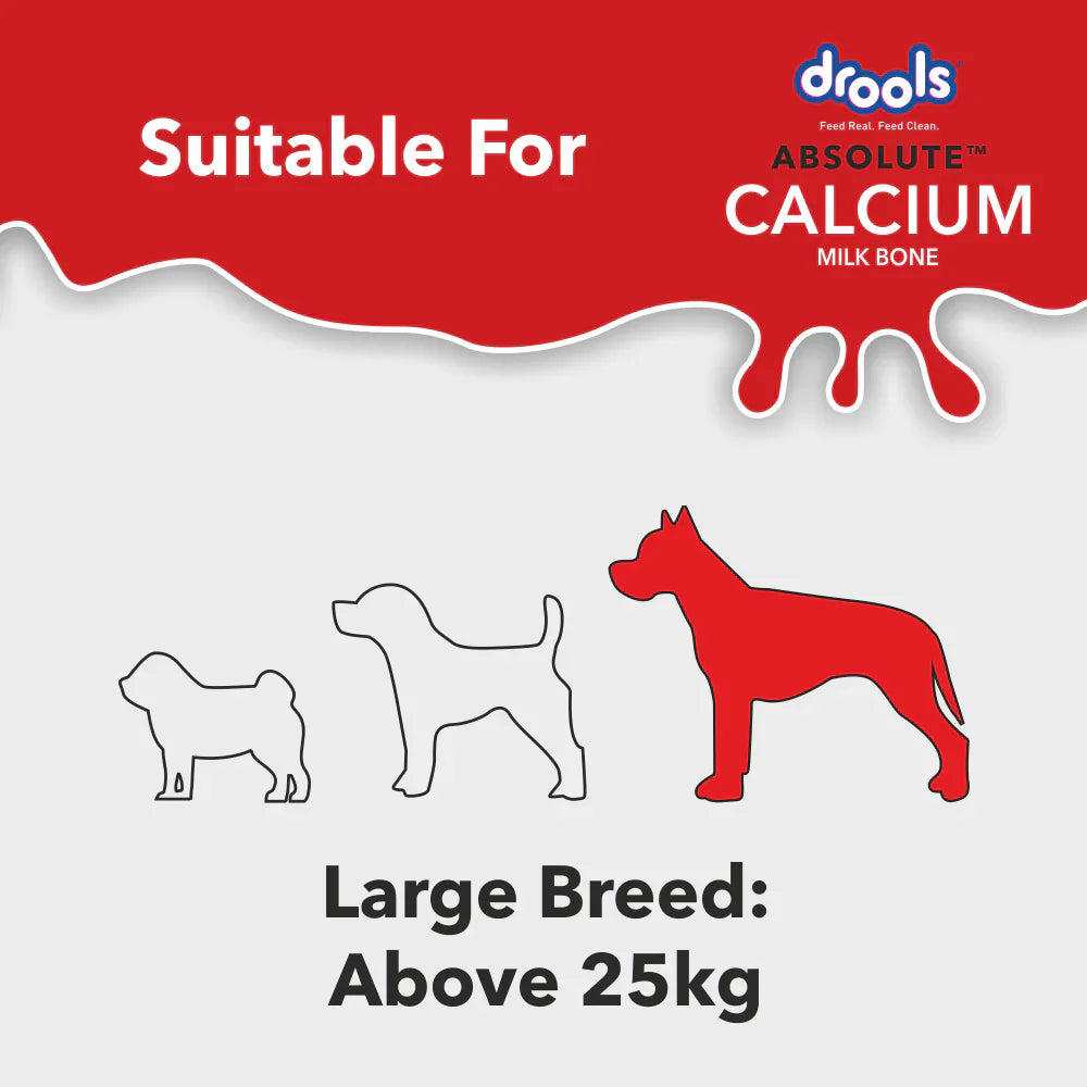 Drools Absolute Calcium Milk Bone Large Breed Carton 12P