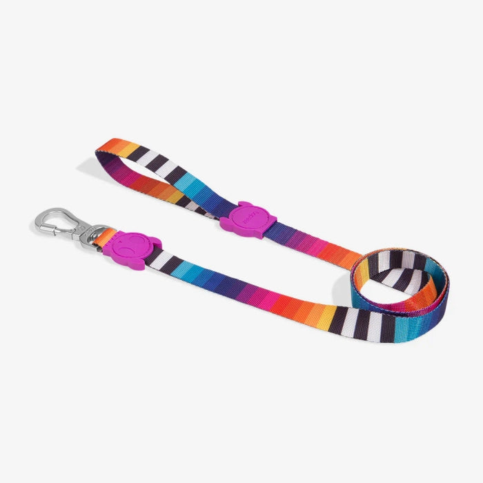 Zee Dog Regular Leash for Dogs