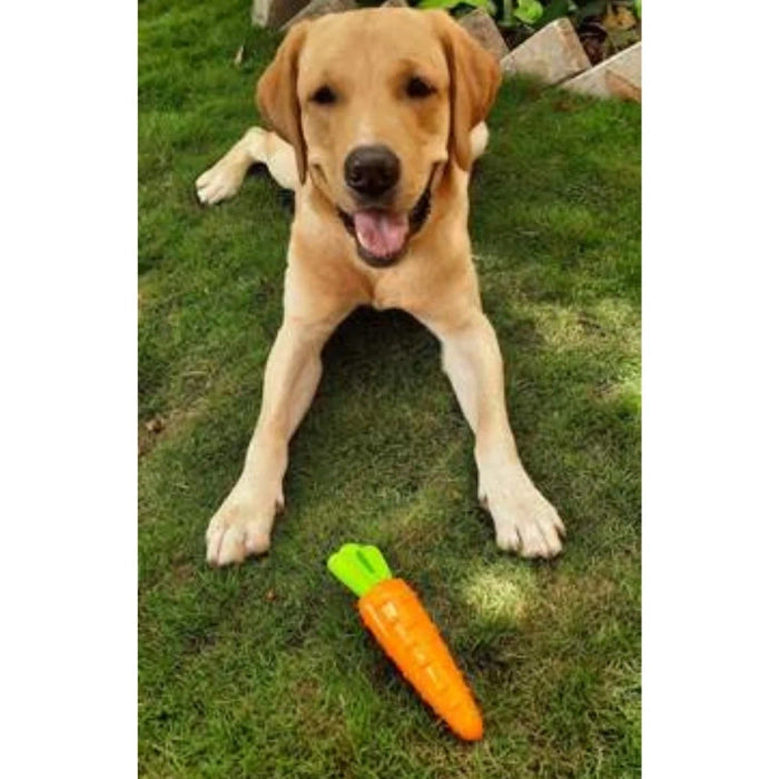 Fofos BarkButler Vegi Bites