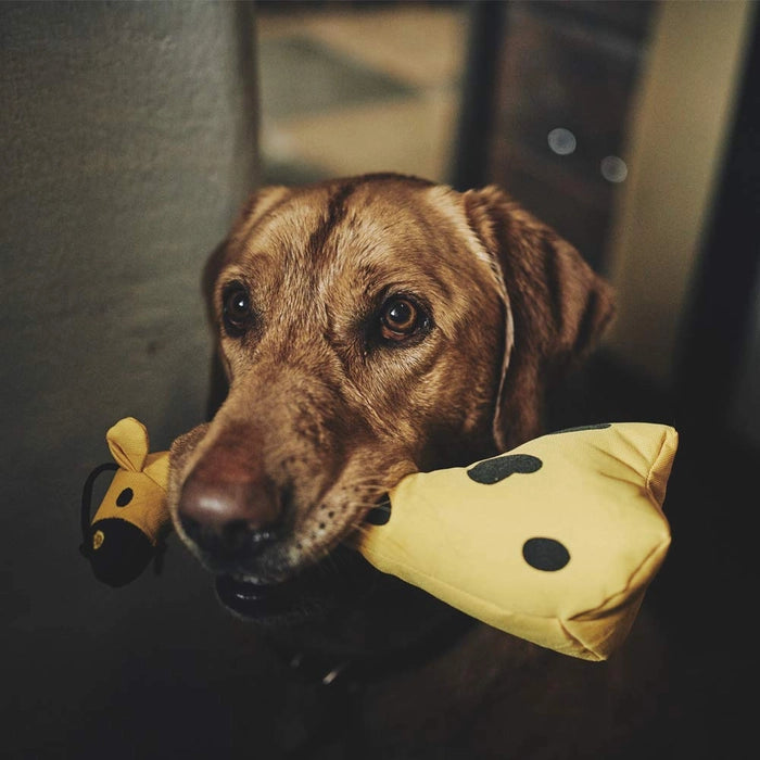 Beco Pets George The Giraffe Dog Toy