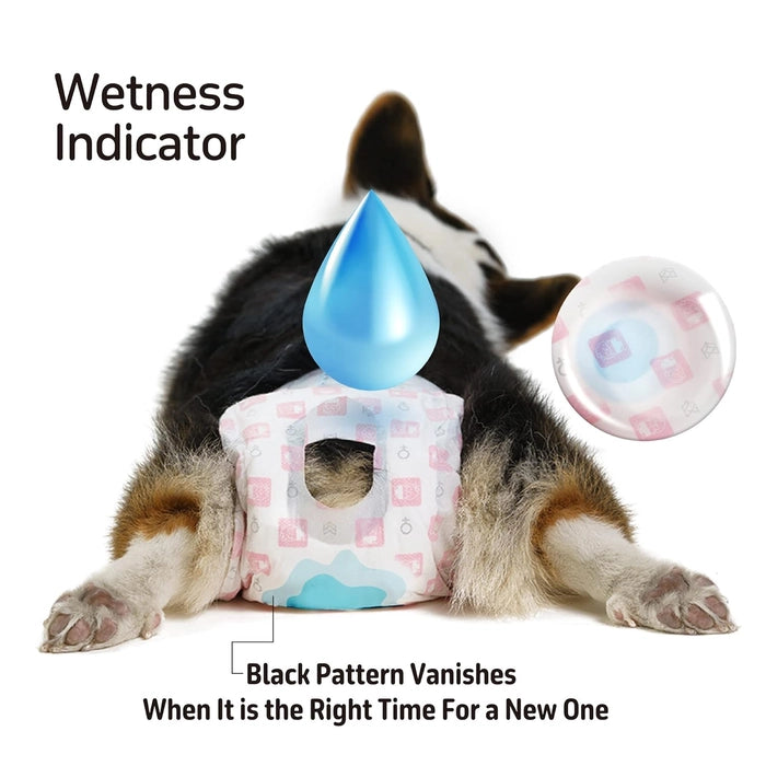 Fofos Barkbutler Disposable Diaper for Male Dogs