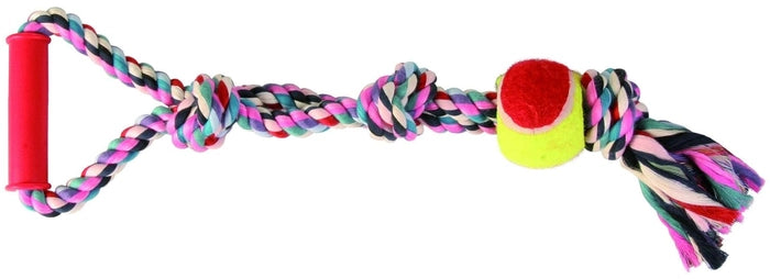 Trixie Playing Rope with Tennis Ball